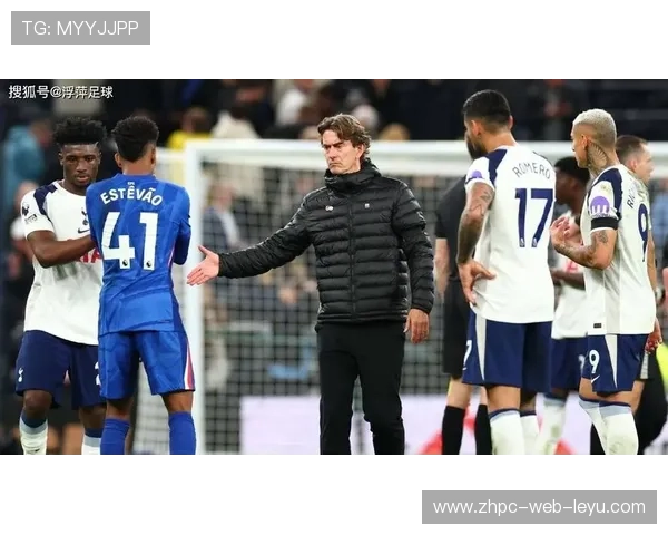 托特纳姆热刺如何化主场压力为动力，托特纳姆热刺新球场