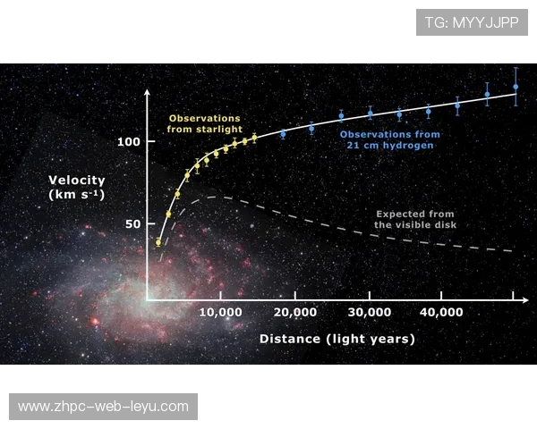 利兹依靠速度打出一波又一波冲击：品牌与速度共振的成长之路