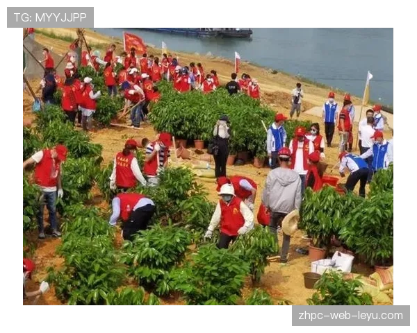 场馆外临时交通导流志愿者职责清单与培训资料